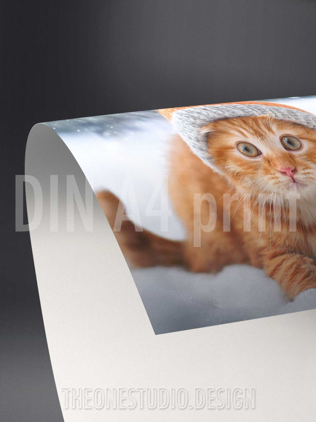 Digital AI Photo Cat in Knit Beanie Hat PC Mobile Wallpaper A4 Print